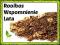 Herbata Rooibos WSPOMNIENIE LATA 50g Promocja