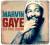 MARVIN GAYE THE SOUL LEGEND 2CD NOWOŚĆ 2014 !!!