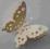 trinket_tt MOTYL AŻUROWY(2) MOTYLEK 3D KREM. 2szt