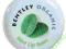 Bentley Organic organiczny balsam do ust mięta 10g