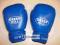 GREEN HILL Rękawice boks GYM 10 OZ od FIGHTSPORTS