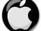 przypinka APPLE MAC MACINTOSH przypinki  -12wzr.
