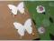 KORALIK SCRAPKI MOTYLE  SCRAPBOOKING KARTKI NOWOŚĆ