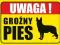Tabliczka, tablica, UWAGA ZŁY PIES  PROMOCJA!