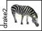 SCHLEICH ZEBRA PASĄCA SIĘ 14609 [ZABAWKA]