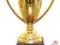 TROFEUM - PUCHAR ZA WYJĄTKOWE OSIĄGNIĘCIA 18 NASTK