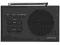 RADIOBUDZIK JOHN LEWIS DAB DIGITAL/FM