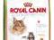 Karma dla kota Royal Canin Maine Coon 31  10 kg