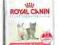 Karma dla kota Royal Canin Kitten 36  10 kg