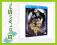 Fullmetal Alchemist The Movie: Conqueror Of Shamba