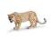 SCHLEICH 14360 LEOPARD