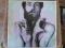 PETER HAMMILL - THE FUTURE NOW CHARISMA 1978 ROK