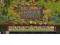 The settlers online 33 lvl Dolina Odkrywców