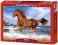 ! Puzzle 500 Castorland B-51175 Horse on the beach