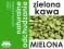ZIELONA KAWA MIELONA 50G GREEN COFFEE SLIM DETOX