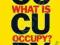 TIME WHAT IS OCCUPY? Joe Klein