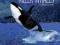 KILLER WHALES (LIVING WILD) Melissa Gish