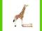 [MALAKO_PL] ANIMAL PLANET Młoda żyrafa