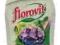 NAWÓZ FLOROVIT 1L DO HORTENSJI W-WA