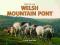 SPIRIT OF THE WELSH MOUNTAIN PONY Fleur Hallam