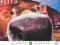 COLD COMFORT FARM (PENGUIN CLASSICS) Gibbons