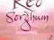 RED SORGHUM Mo Yan