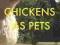 CHICKENS AS PETS Andrew Hinkinson