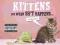 KITTENS FOR WHEN SH*T HAPPENS Trevor Davies