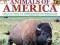 AN ILLUSTRATED GUIDE TO THE ANIMALS OF AMERICA