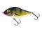 Wobler Salmo Slider 10cm F  - EP