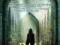 THE LEVELING (A MARK SAVA THRILLER) Dan Mayland