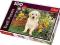 Puzzle Trefl 500 el. 37160 Labradorek w ogrodzie