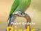 POCKET GUIDE TO BIRDS OF SOUTHERN AFRICA Cillie