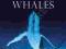 HUMPBACK WHALES (WILDLIFE MONOGRAPHS) Westaway