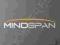 MINDSPAN: PEAK PERFORMANCE MANUAL FOR YOUR MIND