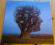 # LP PINK FLOYD brave new world ############# MINT