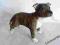 PIES STAFFORDSHIRE BULL TERIER  PORCELANA LEONARDO