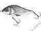 WOBLER SALMO  SLIDER SD10F 10CM/36G  kolor TT