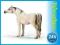SCHLEICH ARAB KLACZ OKAZJA 24H SCHLEICH ARAB KLACZ OKAZJA 24H
