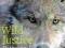 WILD JUSTICE: THE MORAL LIVES OF ANIMALS Bekoff