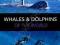 WHALES AND DOLPHINS OF THE WORLD Mark Simmonds