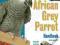 AFRICAN GREY PARROT HANDBOOK (PET HANDBOOKS) Athan