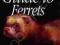 COMPLETE GUIDE TO FERRETS James McKay