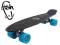 FISH SKATEBOARDS - oryginalna deskorolka FISHKA 01