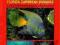 SNORKELING GUIDE TO MARINE LIFE Humann, DeLoach