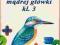 KARTKÓWKI MĄDREJ GŁÓWKI KL. 3 STĘPIEŃ 15P