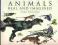 ANIMALS REAL AND IMAGINED Terryl Whitlatch