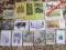 ZESTAW KOLEKCJA POCZTÓWKI  16 sztuk