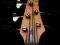 Bass LTD C-305 Fretless. Nietypowa przeróbka