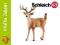 Schleich Biało-ogoniasty jeleń 14709 Nowość